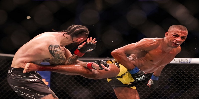 các loại kèo cược UFC