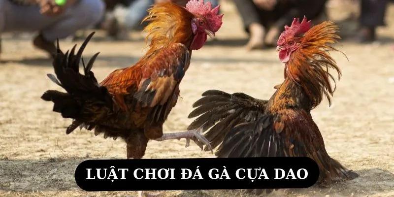 kinh nghiệm chơi đá gà cựa sắt